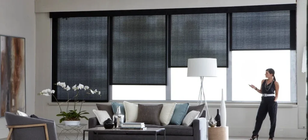 How Do Curtains Control Light and Heat in Abu Dhabi?