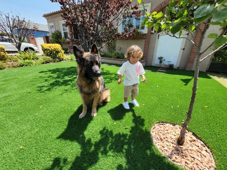 Is Artificial Grass safe for kids and pets in Abu Dhabi homes?